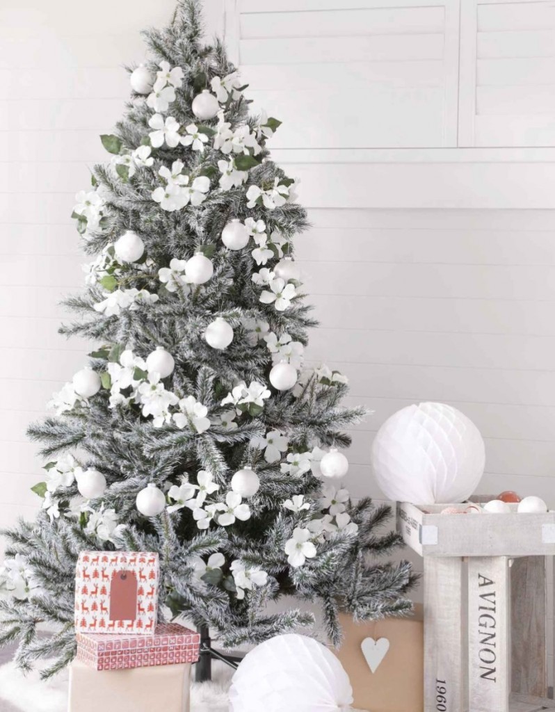 beau sapin blanc