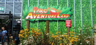 Aventure Land : Accrobranche et aires de jeux pour petits et grands