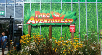Aventure Land : Accrobranche et aires de jeux pour petits et grands