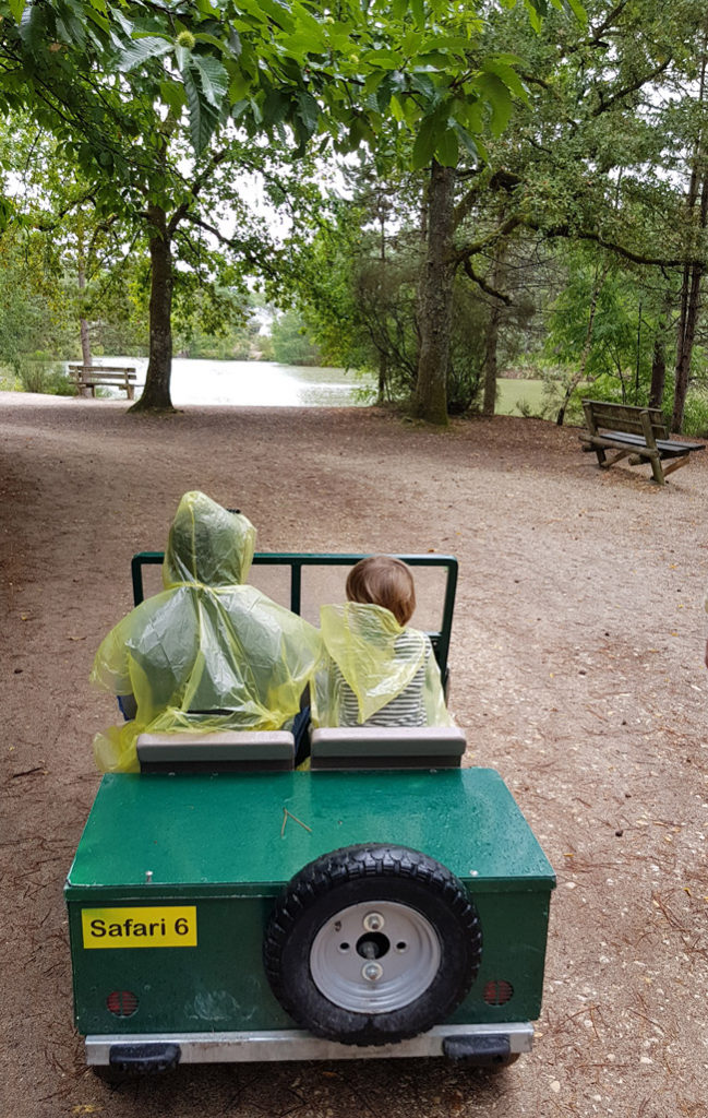 center-parcs-voiture-electrique-enfant-safari