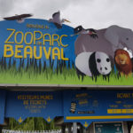 Visite au zoo de Beauval