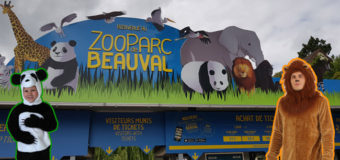 Visite au zoo de Beauval