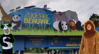 Visite au zoo de Beauval